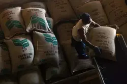 巴西玻利维亚手冲咖啡豆风味特点口感区别 巴西咖啡种植历史故事