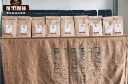 瑰夏村的竞标、金标、红标、绿标、Chaka批次瑰夏咖啡豆如何区分呢?