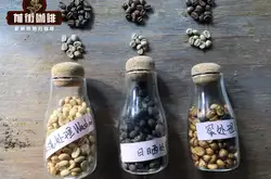 咖啡豆酵素处理法是什么？咖啡豆日晒水洗蜜处理有什么不同？