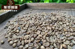 墨西哥咖啡产区瓦哈卡有什么咖啡豆 墨西哥咖啡最好的咖啡豆在哪