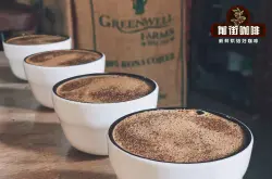 耶加雪菲G1和G2咖啡豆的区别介绍 埃塞俄比亚咖啡分级制度是什么