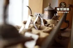 咖啡拉花双翅天鹅是怎么练成的 拿铁咖啡拉花双翅天鹅教程