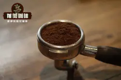 星巴克佛罗娜咖啡介绍 佛罗娜综合咖啡豆产地专业知识起源故事