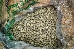 世界上最贵的猫屎咖啡已抵达上海口岸！东帝汶咖啡品牌和口感特点