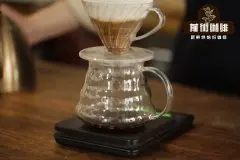 4人份的手冲咖啡如何冲煮？4人份需要多少克咖啡粉？