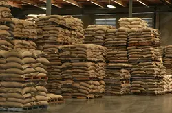 巴西咖啡产量减少&中美洲飓咖啡失收 阿拉比卡咖啡豆或进一步短缺