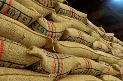 全球阿拉比卡咖啡豆出现短缺，哥伦比亚咖啡豆现货价格创十年最高