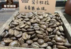 哥伦比亚紫卡杜拉咖啡风味口感特点 百香果厌氧水洗咖啡豆介绍