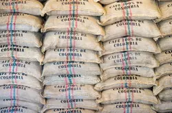 哥伦比亚咖啡 哥伦比亚咖啡行业因国内局势而停摆