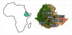 埃塞俄比亚咖啡·大宗商用豆产区：塔纳湖畔（另类产区） 09