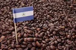COE咖啡 2021年尼加拉瓜COE咖啡豆竞拍将开始 尼加拉瓜咖啡价格