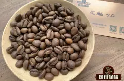 埃塞俄比亚罕贝拉产区介绍小粒花魁av毛片豆风味口感描述研磨刻度