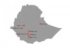 埃塞俄比亚精品咖啡豆 埃塞俄比亚精品咖啡知名产区有哪些？