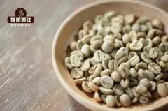 咖啡的品种 阿拉比卡咖啡品种摘要 精品咖啡的主力品种是什么