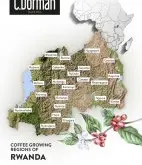 卢旺达珍珠计划|卢旺达咖啡豆怎么喝及其咖啡产业的发展历史进程