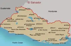 萨尔瓦多种植咖啡的优势 国际咖啡贸易出口量和发展战略