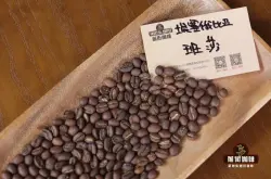 埃塞俄比亚西达摩红蜜处理班莎咖啡豆冲煮参数风味口感描述