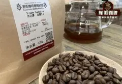 花魁咖啡豆6.0与5.0咖啡豆区别 埃塞俄比亚小粒花魁咖啡豆介绍