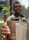 非洲第二咖啡生产大国乌干达咖啡豆产区 乌干达咖啡豆种类分级标