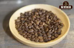 咖啡常见十大咖啡知识点总结 咖啡品种铁皮卡波旁系瑰夏风味特点