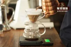 咖啡基础知识  3 个步骤在家就能冲泡最好的咖啡