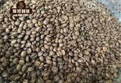 什么是咖啡DNA检测？咖啡DNA检测能帮助农民提高咖啡产量吗？