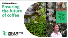 2020年咖啡农业市场现状 WCR世界咖啡对咖啡种植的策略与计划