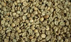 咖啡豆的保质期是多久？生咖啡豆老化因素造成咖啡太干太软的原因