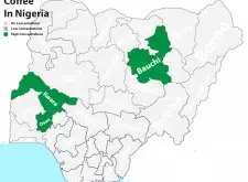 尼日利亚阿拉比卡咖啡豆风味口感特点及产区 非洲生产咖啡豆国家