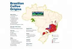 咖啡生产国巴西简介巴西咖啡豆历史 条带采摘是什么好处与坏处？