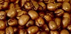 科娜咖啡豆为什么出名五大生长因素圆豆是？正宗科纳咖啡豆风味道