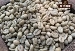 咖啡生豆有保鲜期吗？它的保鲜期又是多久呢？