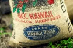 夏威夷科娜咖啡豆里独特香料风味 生咖啡豆的状态如何影响味道？