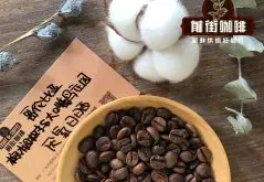 哥伦比亚棕榈树与大嘴鸟庄园咖啡故事 乳酸发酵处理咖啡豆风味口