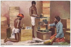 锡兰红茶产国——斯里兰卡的红茶种植历史故事