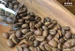 哥伦比亚蕙兰蒙特布兰克庄园水洗花见咖啡豆 瑰夏咖啡豆怎么冲？