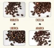 咖啡豆有几种？不同类型黑咖啡介绍摩卡壶黑咖啡会更浓？怎么做？