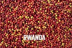 微批次咖啡是什么？卢旺达微批次精品咖啡豆特点风味口感描述