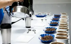 世界最好卢旺达咖啡豆种植生长条件 双重水洗咖啡豆风味口感特点