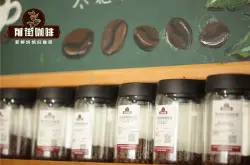咖啡豆浅中深焙磨粉粗细程度对冷萃咖啡风味影响 冷萃咖啡豆推荐