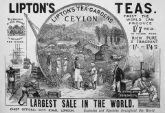 锡兰红茶最有名牌子产自哪里 旧称锡兰红茶产国斯里兰卡历史故事