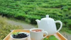 台茶18号红玉红茶介绍 台湾顶级红玉红茶价格贵吗怎么泡好喝
