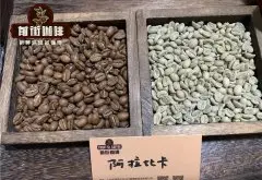 21个令人惊讶的咖啡事实 咖啡豆是种子 喝咖啡让人更长寿