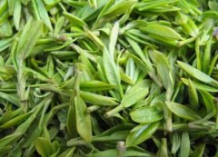 大叶青茶叶是什么茶产地哪里？广东比较出名的茶叶有哪些品种？