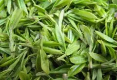 大叶青茶叶是什么茶产地哪里？广东比较出名的茶叶有哪些品种？