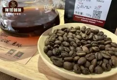 市面上销售的精品咖啡豆和商业咖啡豆的差异 精品咖啡豆推荐