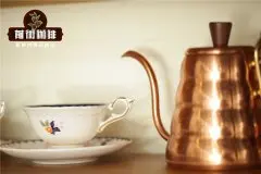 手冲咖啡壶怎么使用 咖啡手冲壶该怎么做挑选？手冲壶推荐