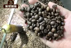 布隆迪精品咖啡有什么特别之处 布隆迪咖啡豆适合什么烘焙