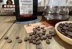 哥斯达黎加精品咖啡豆 咖啡豆的硬度和生长海拔的联系