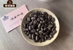 印尼正宗猫屎咖啡豆价格_印尼麝香猫咖啡豆猫屎咖啡的口感风味